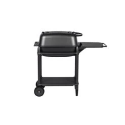 PK Grills 300 Charcoal Grill And Smoker PK300-BCX