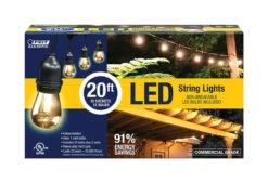 LED Edison String Light Clear 20 Ft.